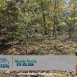 Property photo for land for sale in Fulton County Arkansas