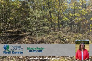 Property photo for land for sale in Fulton County Arkansas