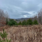 Property photo for land for sale in Franklin County Maine