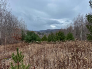 Property photo for land for sale in Franklin County Maine