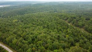 Property photo for land for sale in Ozark County Missouri
