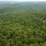 Property photo for land for sale in Ozark County Missouri