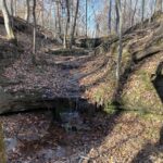 Property photo for land for sale in Wayne County Tennessee