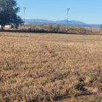 Property photo for land for sale in Torrance County New Mexico