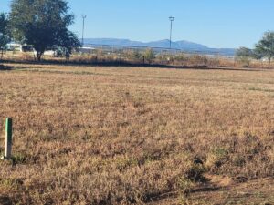 Property photo for land for sale in Torrance County New Mexico