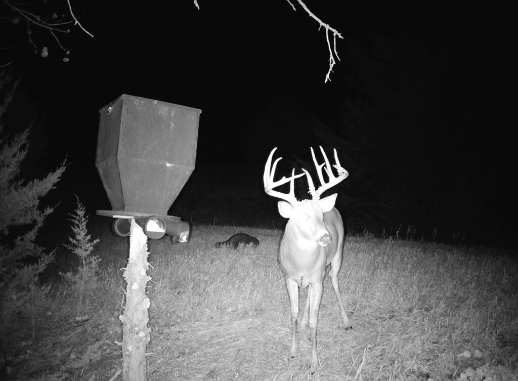 Property photo for land for sale in Jewell County Kansas