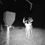 Property photo for land for sale in Jewell County Kansas