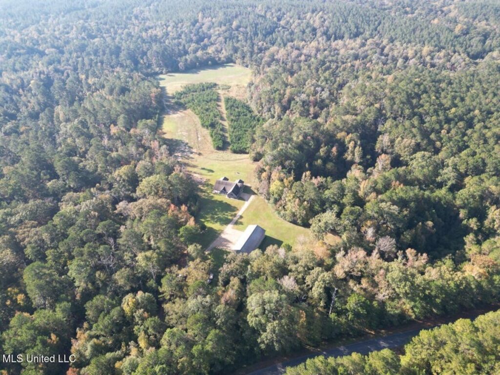 Property photo for land for sale in Amite County Mississippi