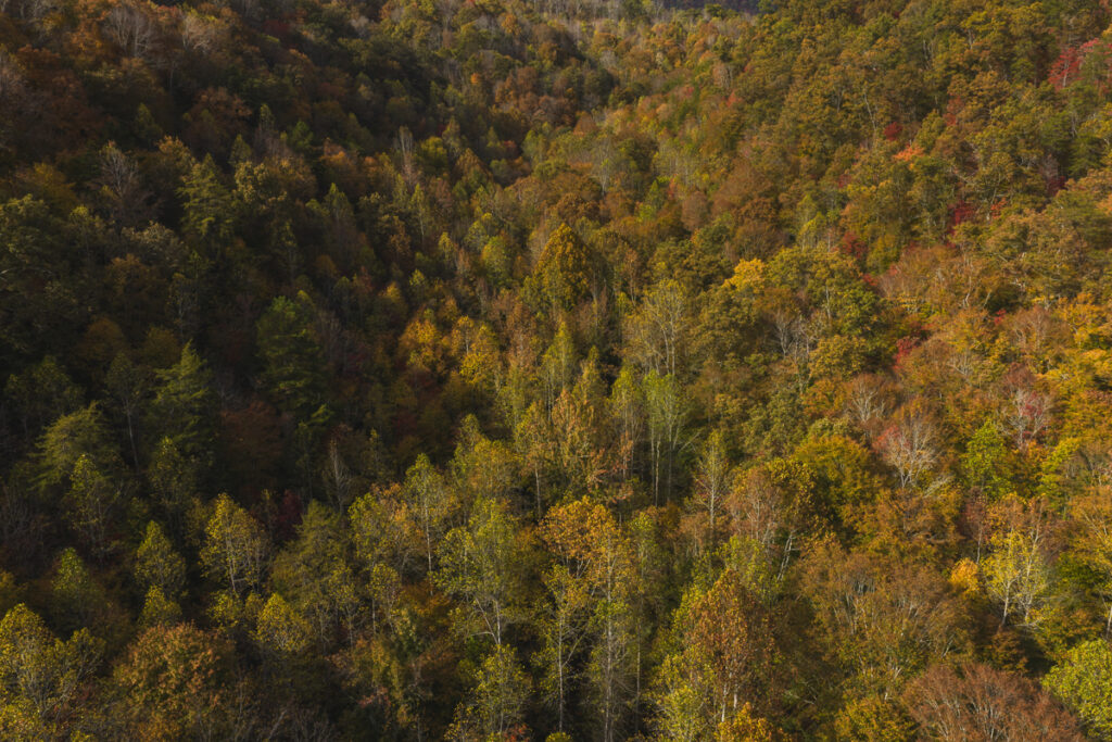 Property photo for land for sale in Hancock County Tennessee