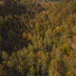 Property photo for land for sale in Hancock County Tennessee