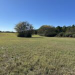 Property photo for land for sale in Cherokee County Texas
