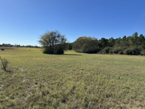 Property photo for land for sale in Cherokee County Texas