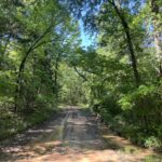 Property photo for land for sale in Pushmataha County Oklahoma