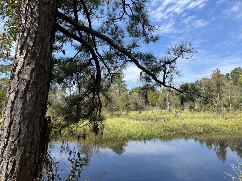 Property photo for land for sale in Union County Arkansas