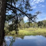 Property photo for land for sale in Union County Arkansas