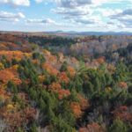 Property photo for land for sale in Waldo County Maine