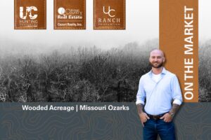 Property photo for land for sale in Ozark County Missouri