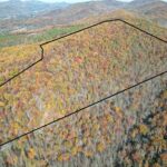 Property photo for land for sale in Nelson County Virginia