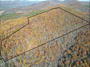 Property photo for land for sale in Nelson County Virginia