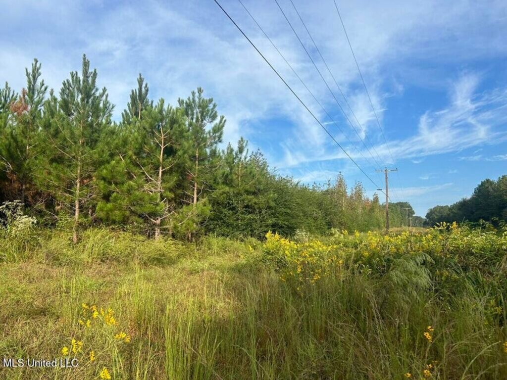 Property photo for land for sale in Pike County Mississippi