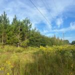 Property photo for land for sale in Pike County Mississippi