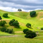 Property photo for land for sale in Solano County California