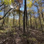 Property photo for land for sale in Van Buren County Arkansas