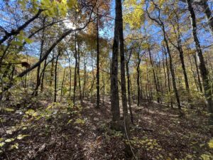 Property photo for land for sale in Van Buren County Arkansas