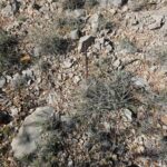 Property photo for land for sale in Yavapai County Arizona