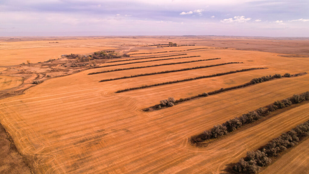 Property photo for land for sale in Roosevelt County Montana