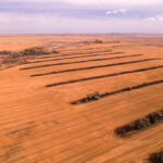 Property photo for land for sale in Roosevelt County Montana