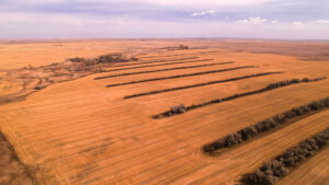 Property photo for land for sale in Roosevelt County Montana