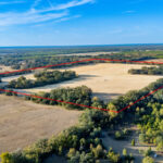 Property photo for land for sale in Suwannee County Florida