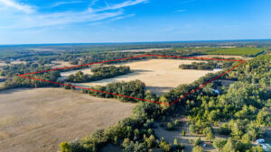 Property photo for land for sale in Suwannee County Florida