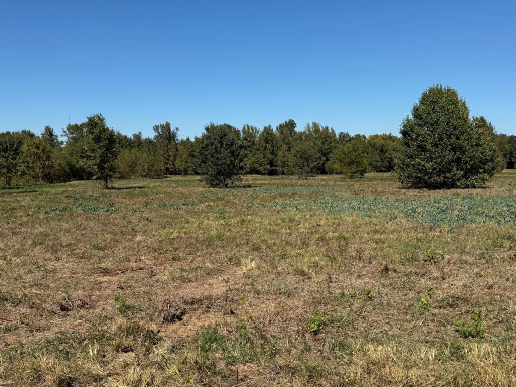 Property photo for land for sale in Bowie County Texas