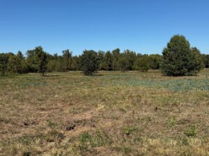 Property photo for land for sale in Bowie County Texas