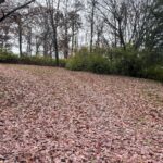 Property photo for land for sale in Hamblen County Tennessee