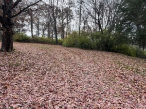 Property photo for land for sale in Hamblen County Tennessee