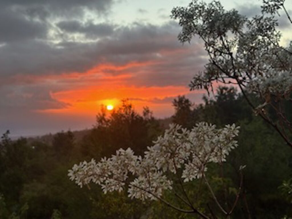 Property photo for land for sale in Hawaii County Hawaii