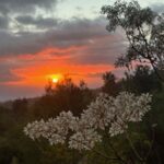 Property photo for land for sale in Hawaii County Hawaii