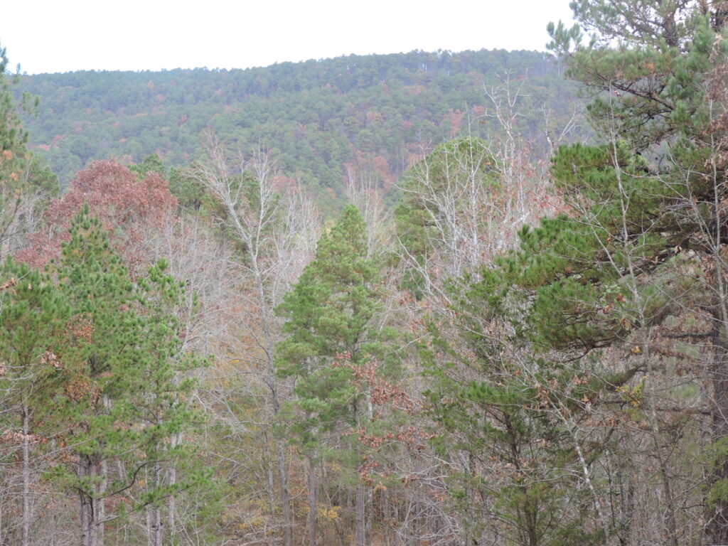Property photo for land for sale in County Arkansas