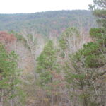 Property photo for land for sale in  County Arkansas