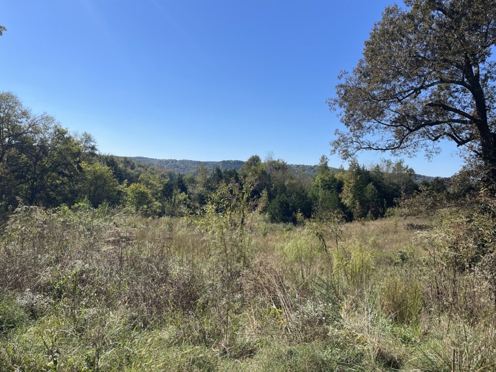 Property photo for land for sale in Hardin County Tennessee