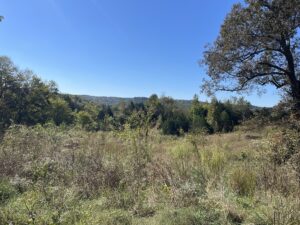 Property photo for land for sale in Hardin County Tennessee