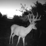 Property photo for land for sale in Bourbon County Kansas