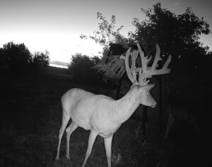 Property photo for land for sale in Bourbon County Kansas