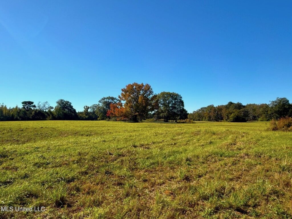 Property photo for land for sale in Pike County Mississippi