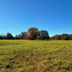 Property photo for land for sale in Pike County Mississippi
