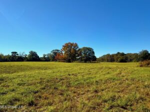 Property photo for land for sale in Pike County Mississippi