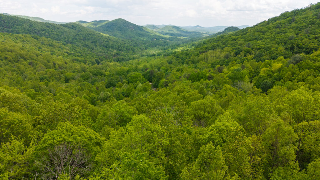Property photo for land for sale in Wilkes County North Carolina